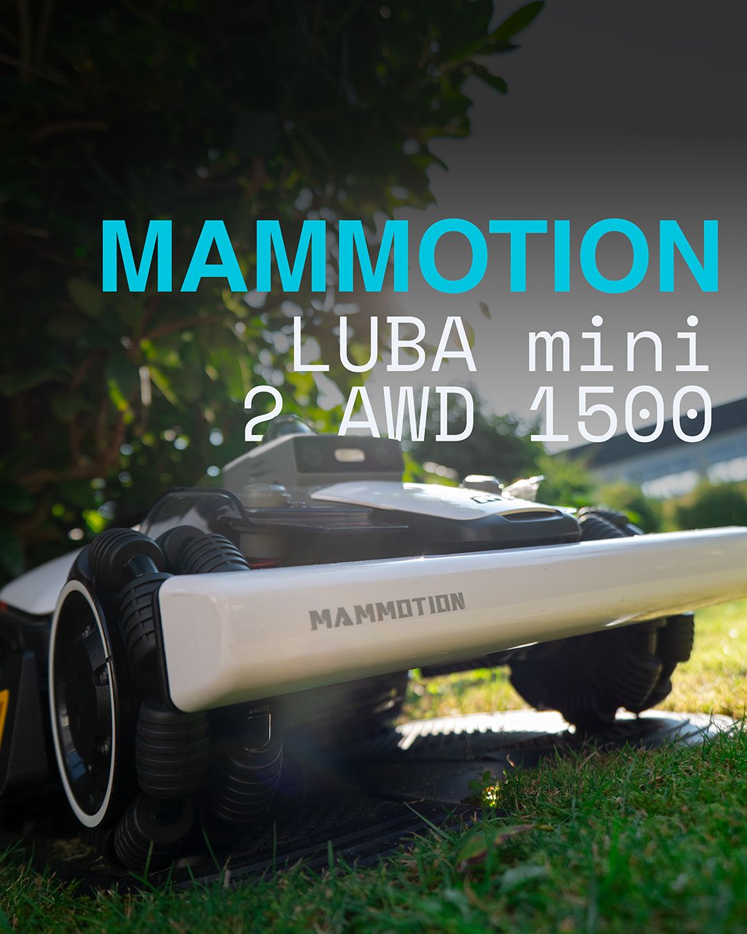 Mammotion LUBA mini 2 auf dem Rasen